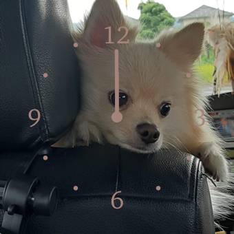 時計 Sat Ideje za widgete[YLH5sNJ85nSLECR5FNgV]