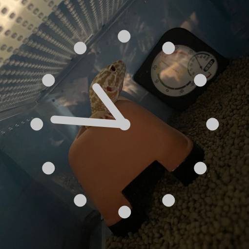 Pretty Clock Widget ideas[HU7AZDIiOUa9Nnykm8JR]