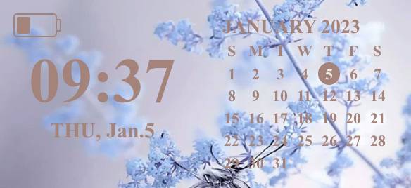 Simple Calendar Widget ideas[Niexxr4uC080HH6FBdtp]