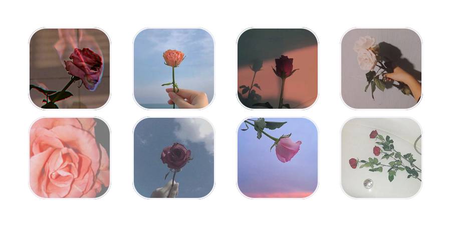Rose App Icon Pack[A5v0MBOFKXNxx0AtmG9X]