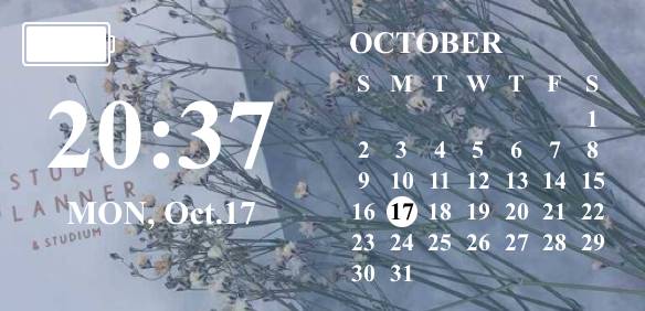 Calendario Ideas de widgets[DleA9fyrnIK26gnf7ApW]