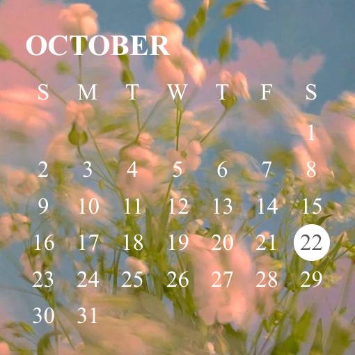 Calendar Widget ideas[CnoPUSbXqgzIIrOVIjrx]