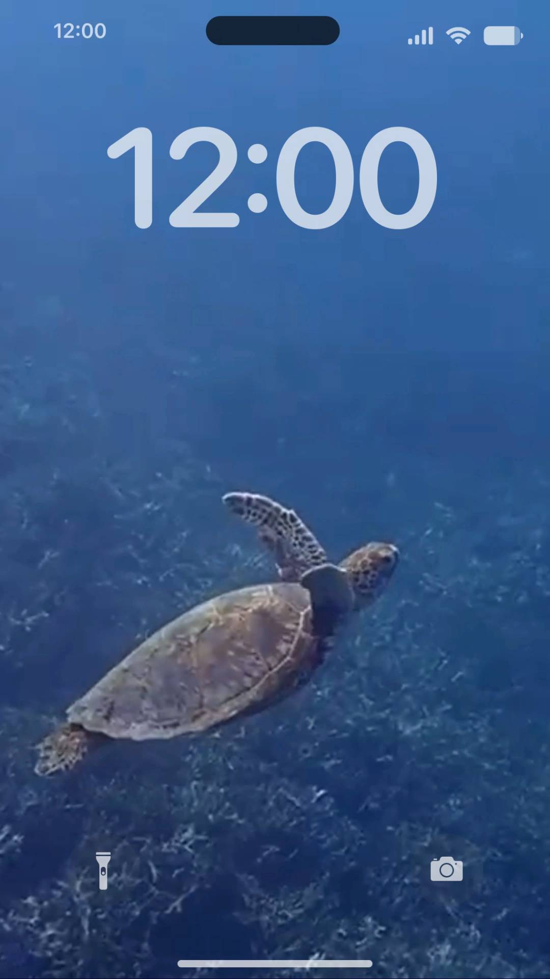  Živa pozadina[hceEKYqiXsUf18SVHGwh]
