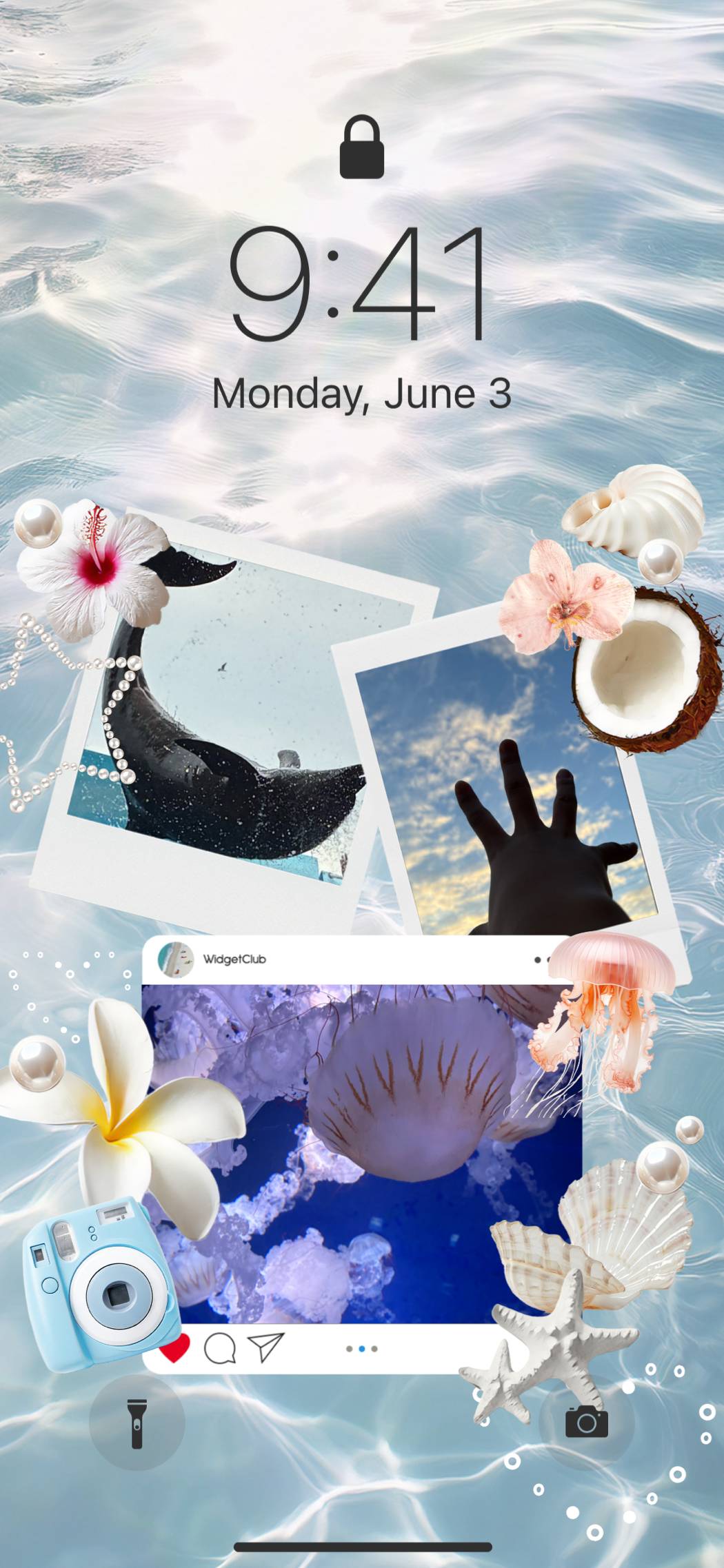 海🪼Home Screen ideas[1ICZOLzS5cpiYBLPILi6]