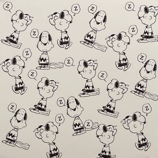 SNOOPY Пхото Идеје за виџете[NuFvmc7vvT0kN0klqWLl]