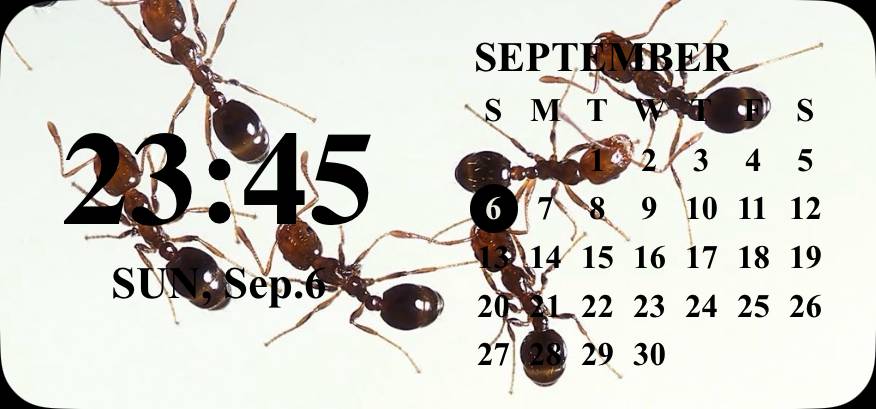 Calendar Widget ideas[pUKWMeE1ZMxYLoStldWJ]