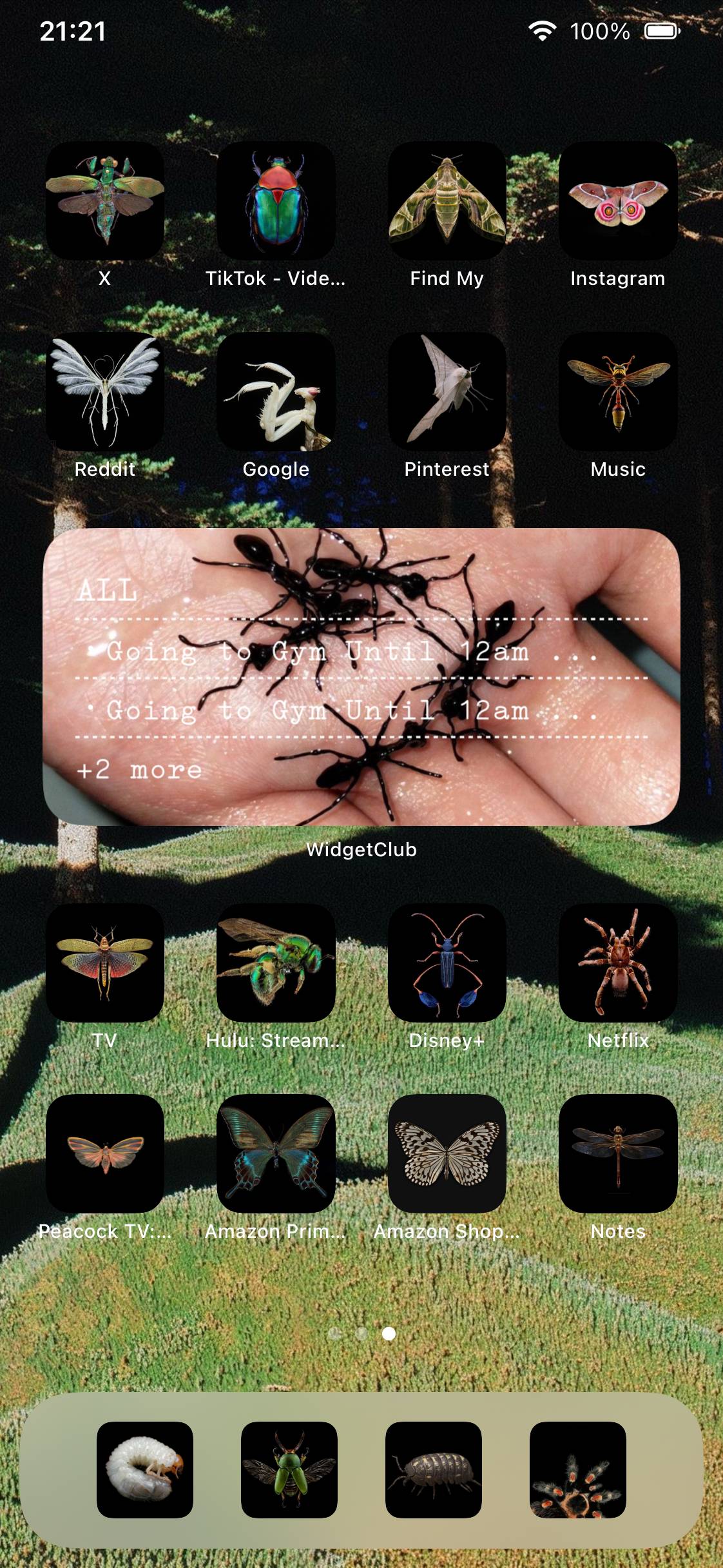 night crawlers (bugs)Home Screen ideas[pUKWMeE1ZMxYLoStldWJ]