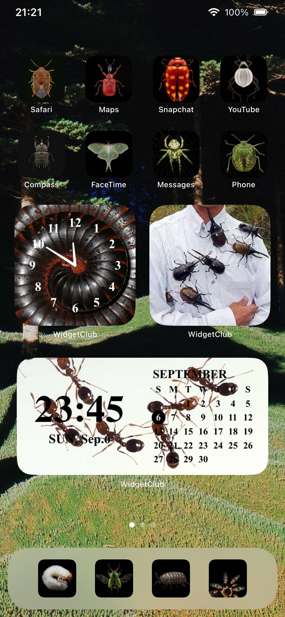 night crawlers (bugs)Home Screen ideas[pUKWMeE1ZMxYLoStldWJ]