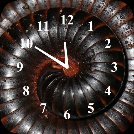 Clock Widget ideas[pUKWMeE1ZMxYLoStldWJ]