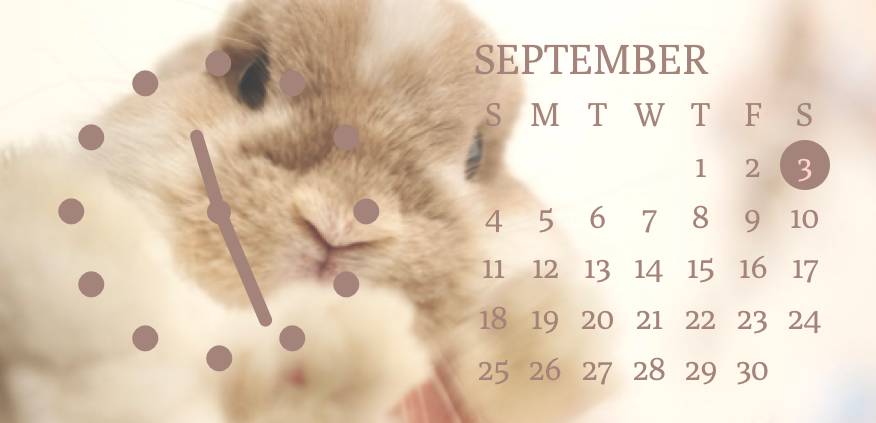 rabbit Clock Widget ideas[UKE7K1LcQl5gUvBvj5aZ]