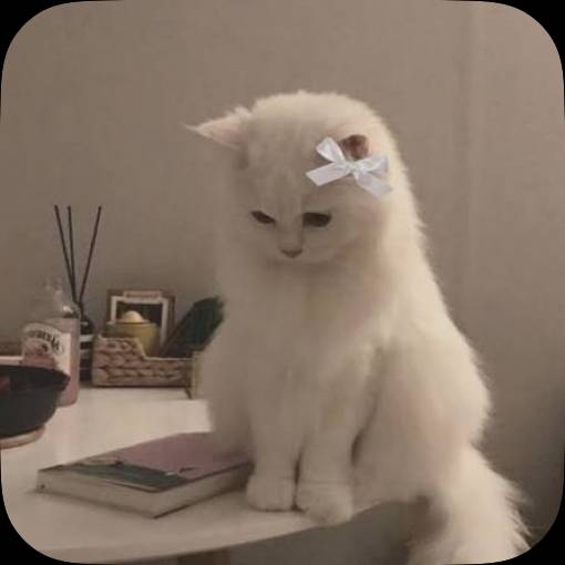 Pretty Photo Widget ideas[QGZZVcfCvhNPZksprWyw]