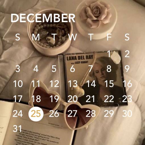Calendar Widget ideas[RxGd5v8i19yJ7D0pil1V]