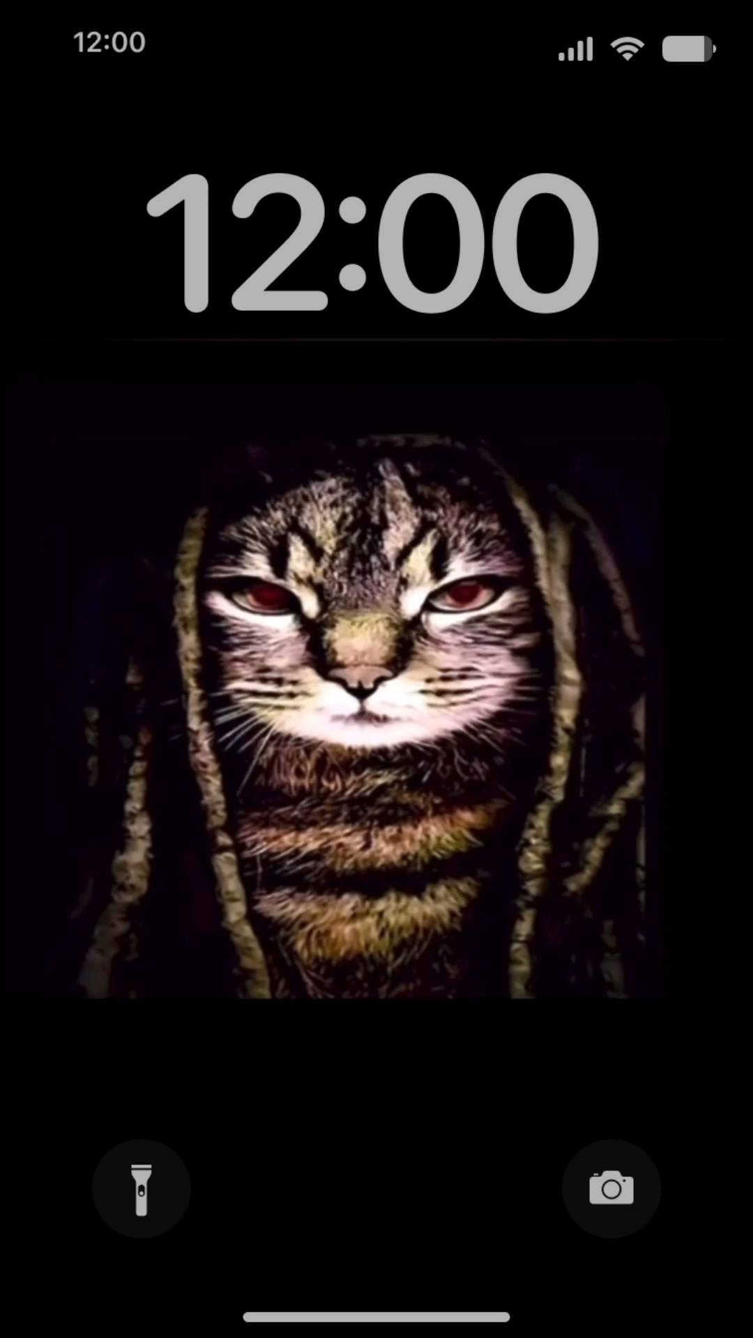 cat von 1 Live Wallpaper[0EZ7fX9QT6UP3kJQ6tWq]