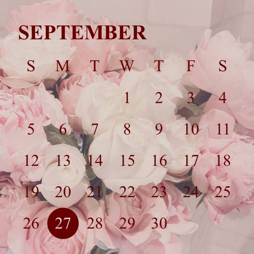 Рожевий Календар Ідеї для віджетів[templates_LfFQjlCMj8cv0Y9WCubC_7A632ED1-2ADD-4DAB-994F-9805C14AC308]