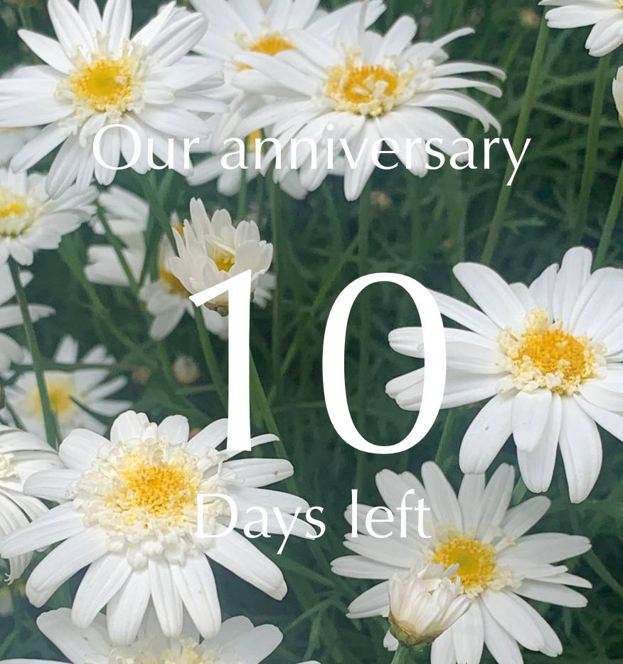 flower Countdown Виджетийн санаанууд[AJpdNwExkzT4BMLEsODP]