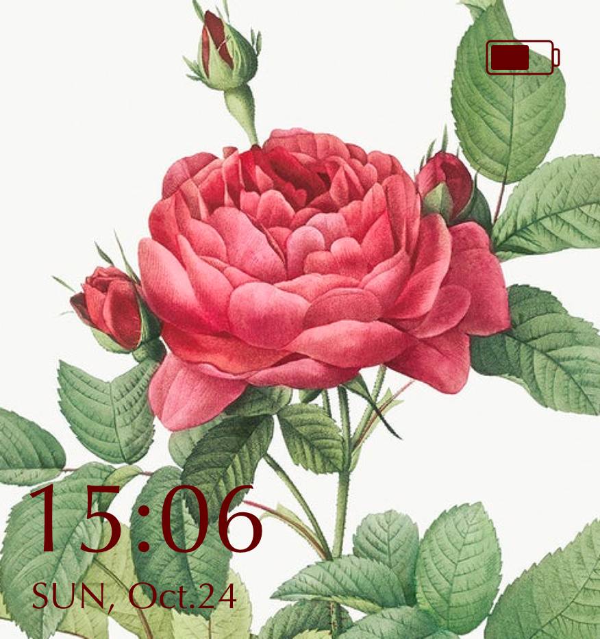 🌸Battery Widget ideas[q5BKYgy70lmINCZ6zl59]