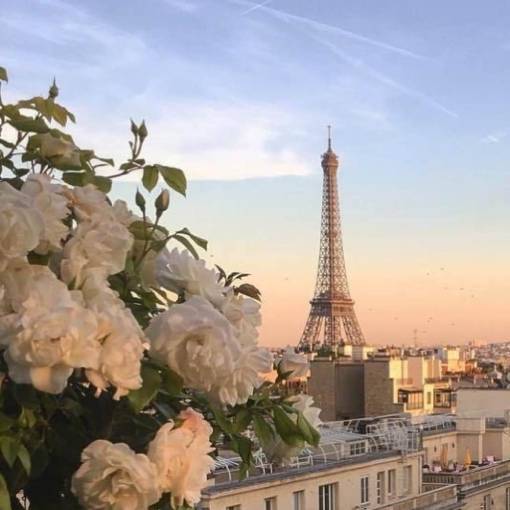 Paris with flower 照片 小部件的想法[O7tuaaEjng93DSQWm7IK]