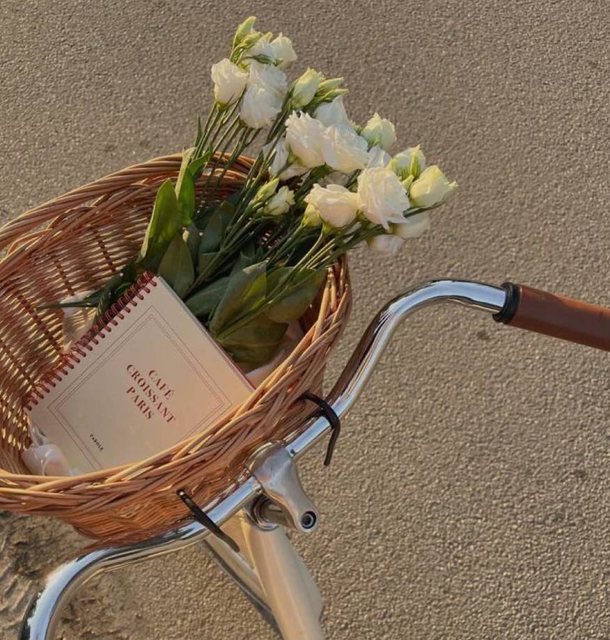 bicycle white flower Fénykép Widget ötletek[CxkJereMd6ffPJNjVvhM]