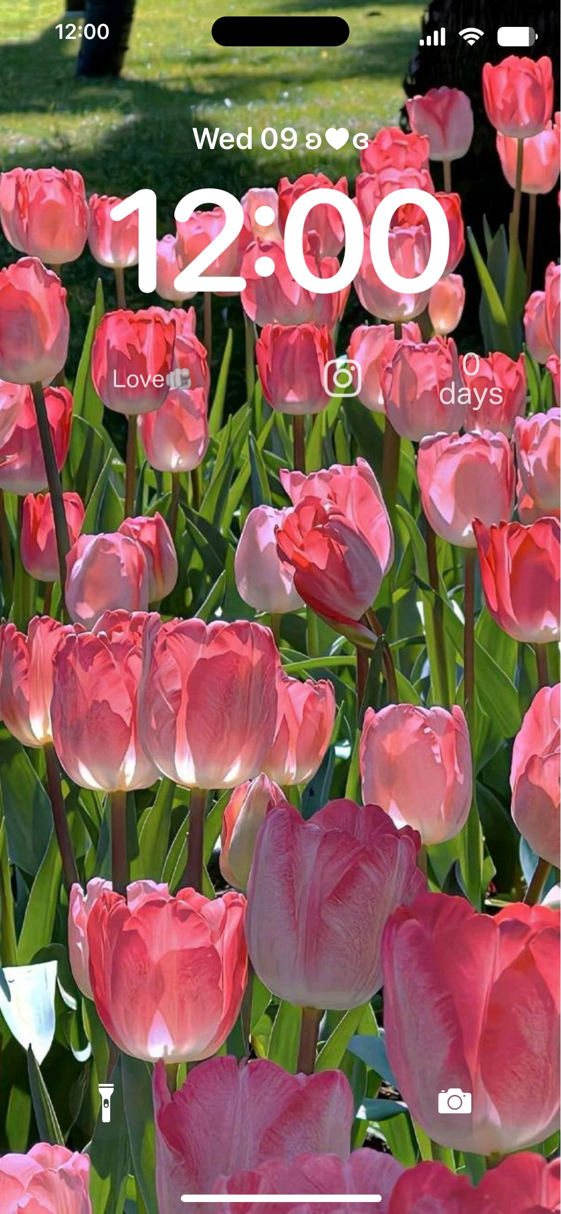 flowers🌷🌸🌹 Zaklenjen zaslon[E0gtMaO2eq65xdWQW8SS]