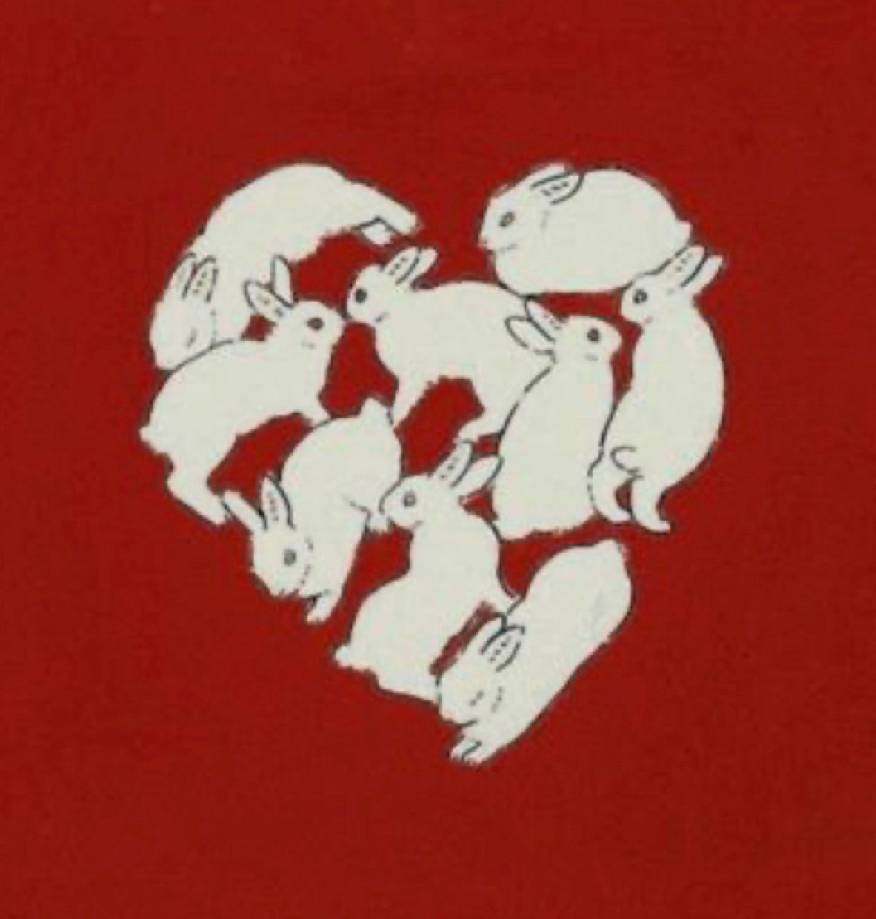 red heart bunnies Fotografia Nápady na widgety[k0l70qS0oE14KZ9hxIRy]