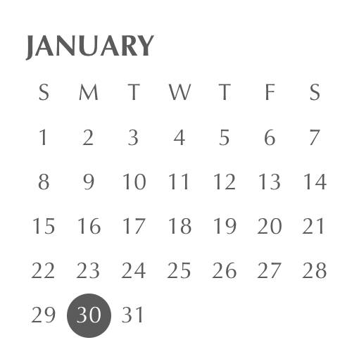 Calendar Widget ideas[X8Crn644PXwRuHCTckez]