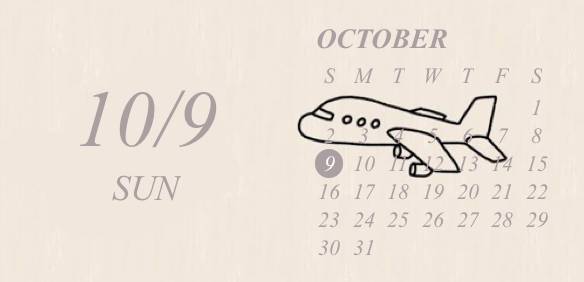 カレンダー(飛行機) Calendar Widget ideas[jigoO1q5U4iM27vJZKVi]