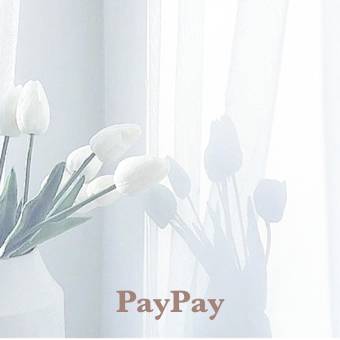 PayPay Memo Widget-Ideen[tvwYBliUjPOafNLcWhJJ]