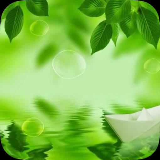 Photo Widget ideas[njOMT92U2AmkApKUawqw]