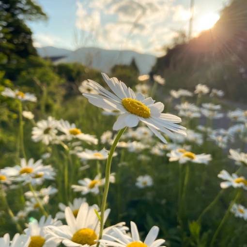 Fotografija Ideje za pripomočke[tr54DbJvsckfhRcIWHpB]