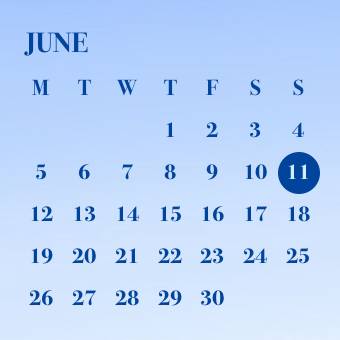 Calendar Widget ideas[1pTom1ysf7vcunisSPNg]