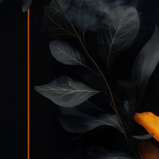 Photo Widget ideas[7fTQGxkKyo7CTnClgenz]