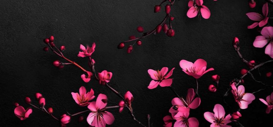 Photo Widget ideas[CwoV7IXL2panYAs8G78f]