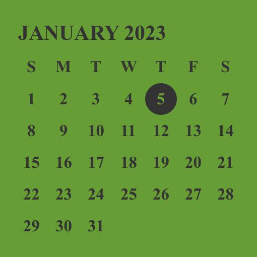 Calendar Widget ideas[VNXct09ig1P7X1Qe3CWP]