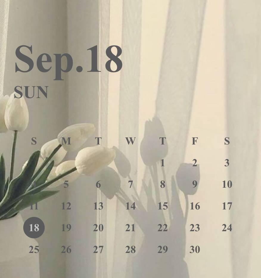 Calendar Widget ideas[0wsyEMwATo3dRlLtwym9]