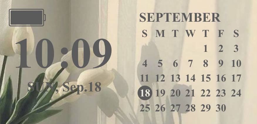 Calendar Idei de widgeturi[GlSAdqa1tMwSviZqFslh]