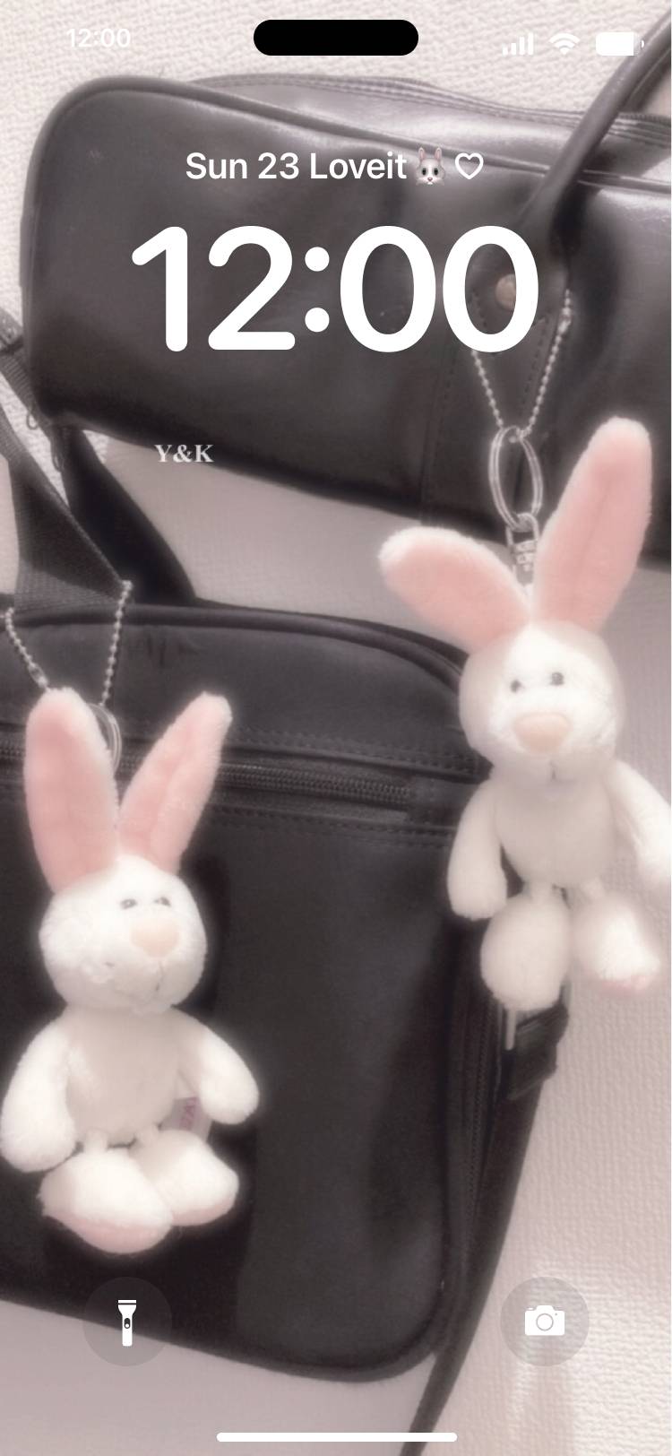 Rabbit Lockscreen[npFRqRwWSsbgLo4R1Exr]