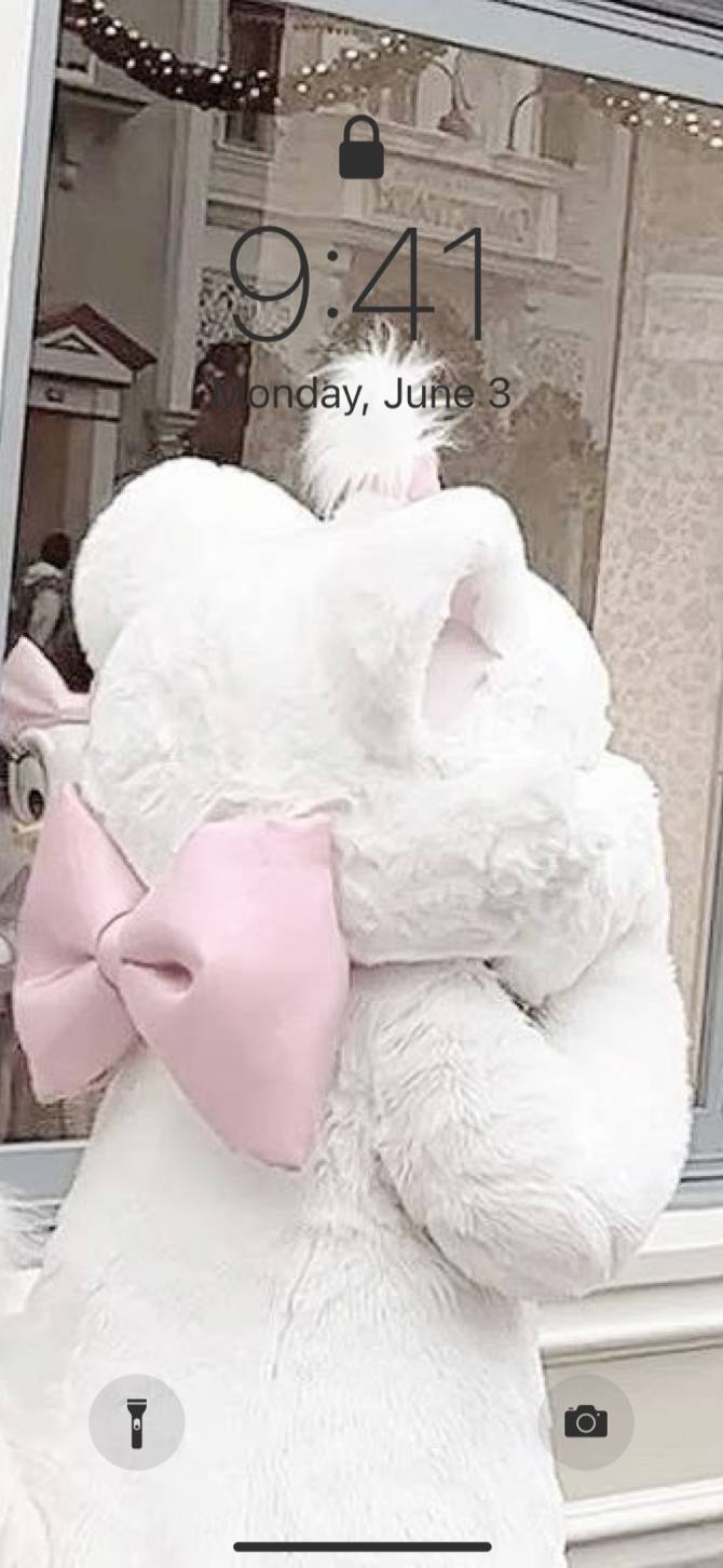⸝⸝> ̫ <⸝⸝ᐡ♡Pomysły na ekran główny[goBeZsA589G2IvCgylC3]