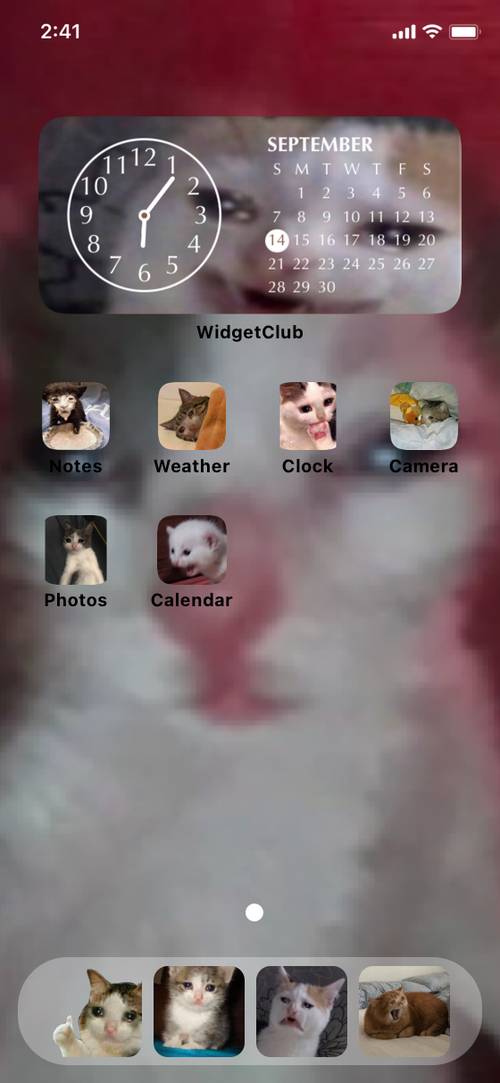 可愛い猫チャン Idea Skrin Utama[y7BB1pFVdsAt8PP4gzU2]
