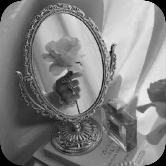 Photo Widget ideas[rYb4i4u02cd9LadxKPPa]