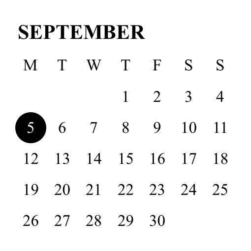 calendar Calendar Widget ideas[6oZSanDOpQYZXalbuNRW]
