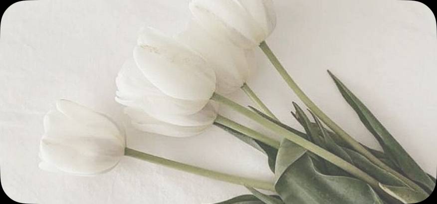 Simple Photo Widget ideas[jjHJftrdbVVLS6ikIYwP]