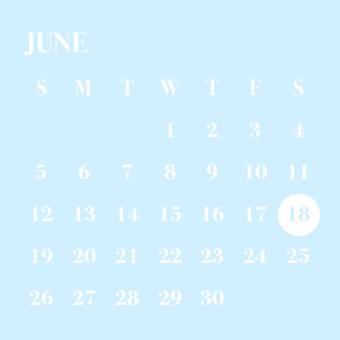 Calendar Widget ideas[NNy6DqpfDNdF4URmKpWy]
