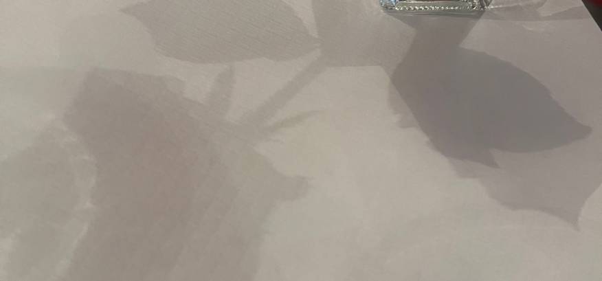 Photo Widget ideas[dq9S346R0TcGWrEfxxX8]