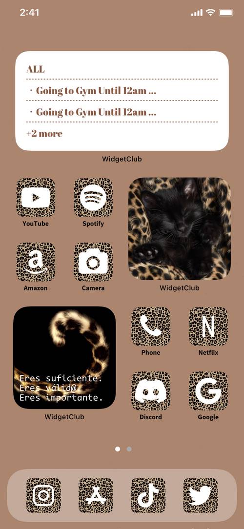 leopardo Идеи домашнего экрана[jS2SqQabQiTRCMzvkIpw]