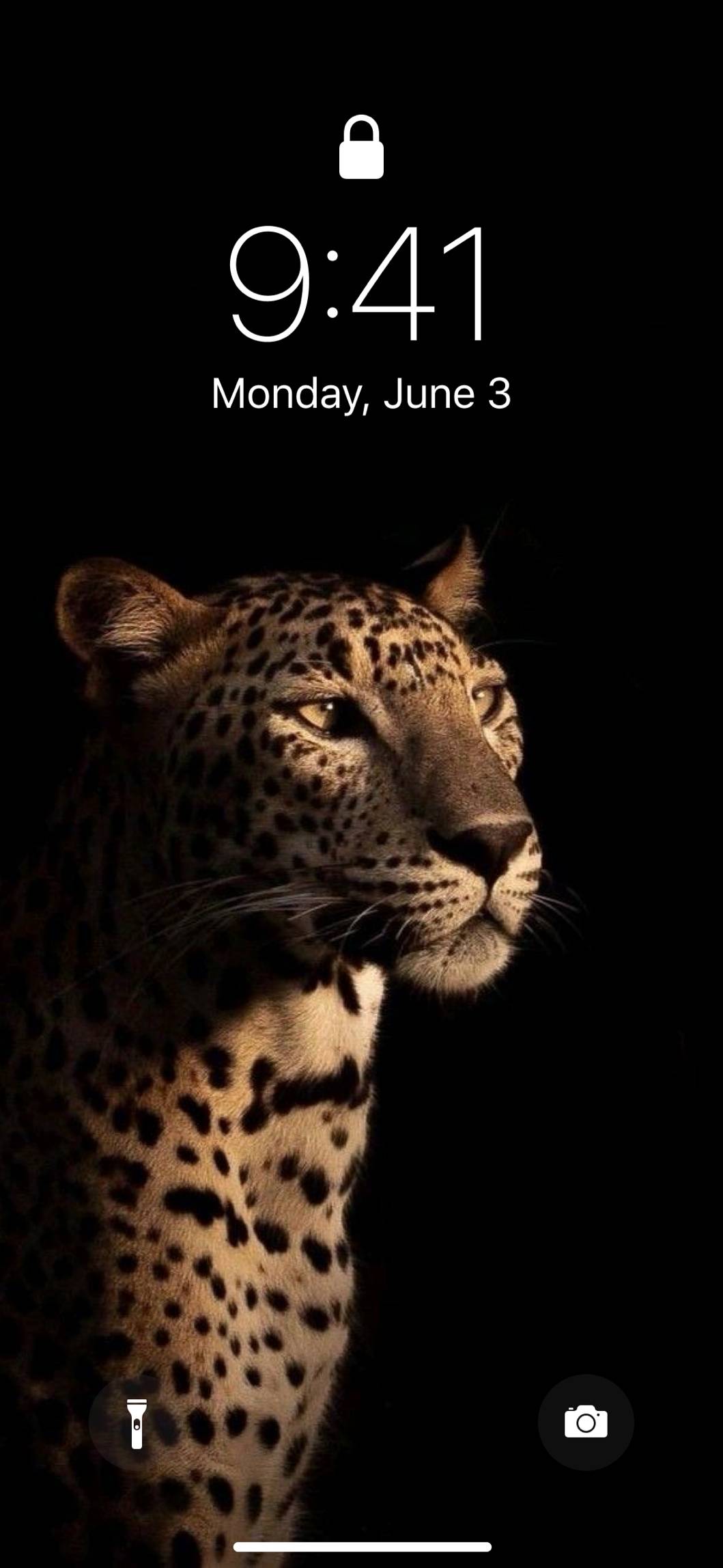 leopardoایده های صفحه اصلی[jS2SqQabQiTRCMzvkIpw]
