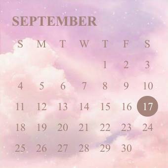 Calendar Widget ideas[i0aQbev6jY1PITV4iG7X]