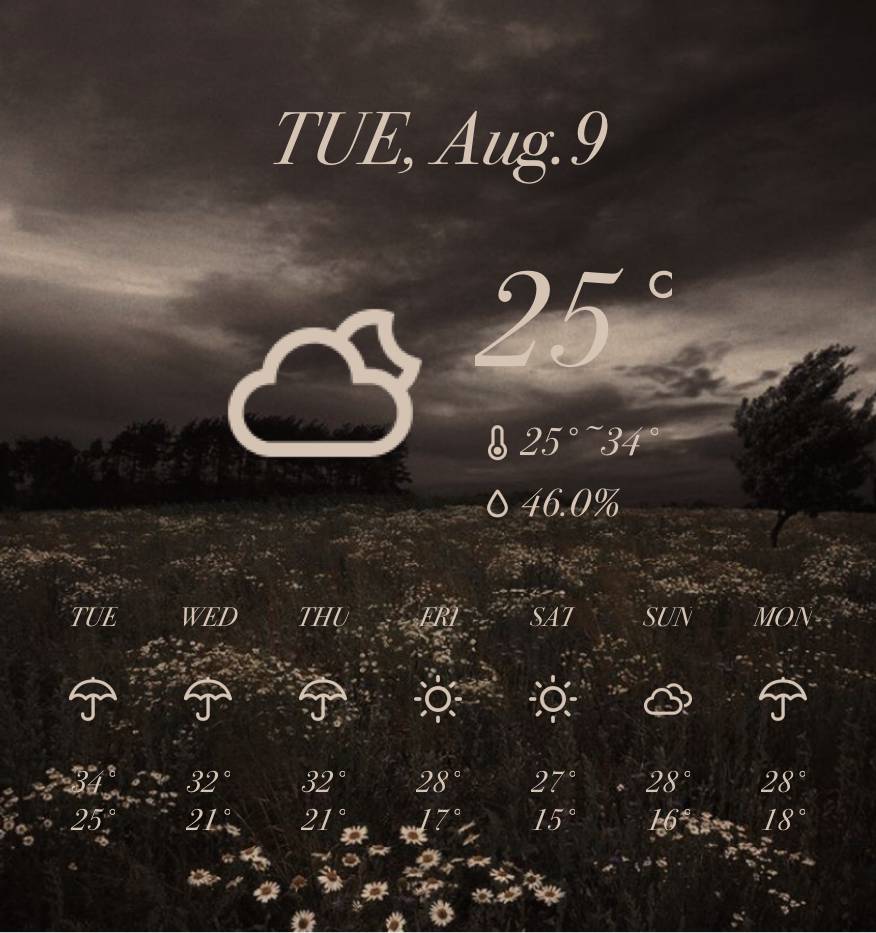 天気Weather Widget ideas[bmTJ7kiNeZAMAPaqwsPQ]