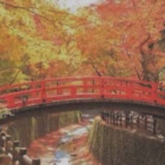 Photo Widget ideas[IS8hFBFd1D1fZRtiOygb]