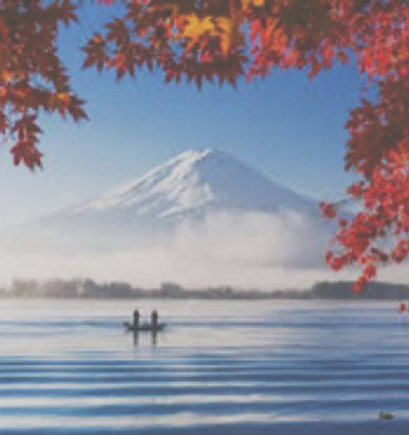 Photo Widget ideas[E8qIzMjQQ4dACa5tHCFQ]
