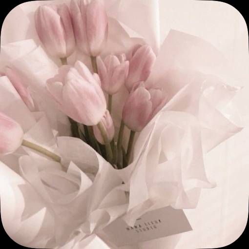 Photo Widget ideas[oplFIS1HFbo3H1trAK9L]
